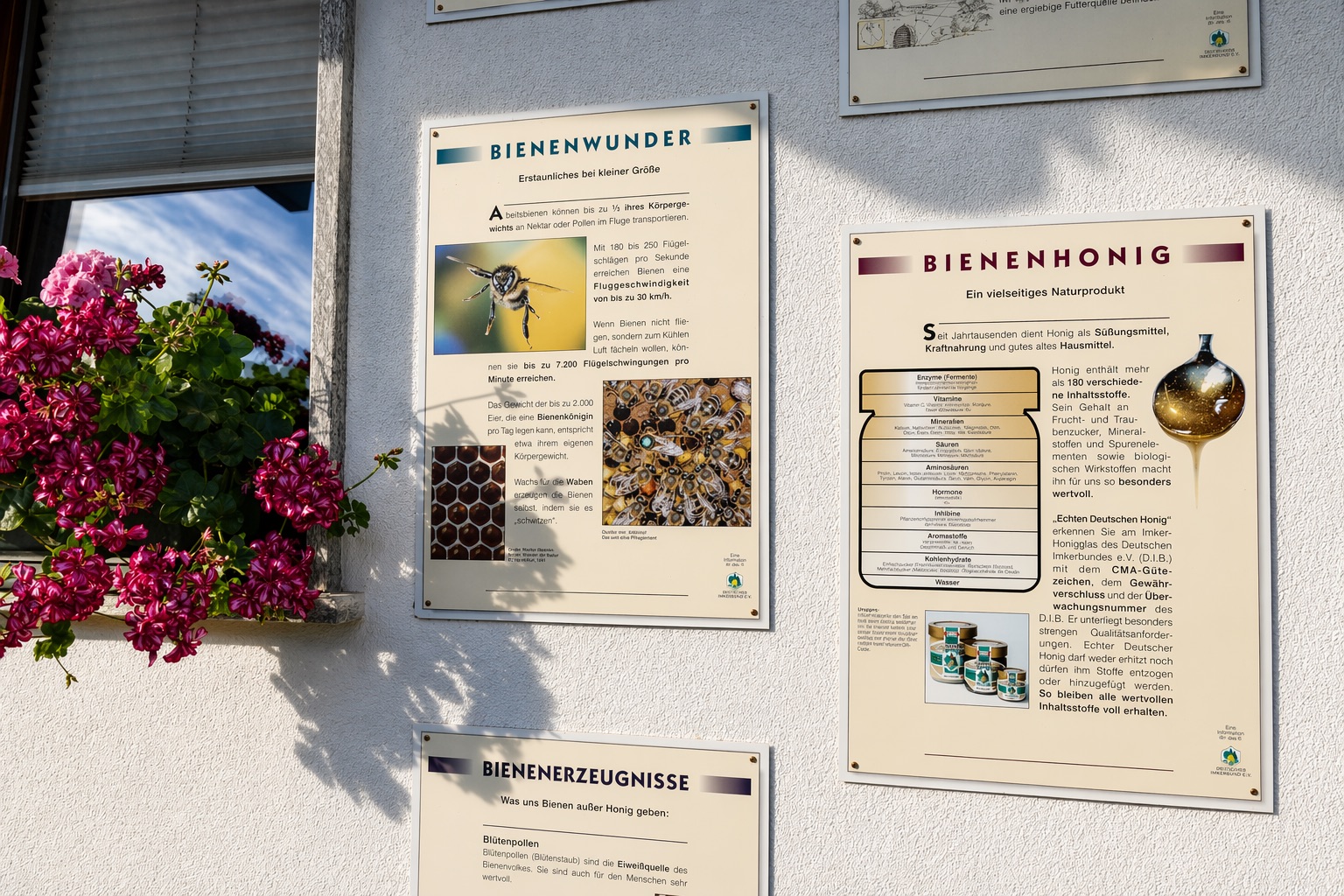 Pension – Eindruck 1